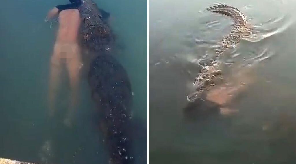 Giant Croc Carries Dead Mans Body Through Mexican Lagoon – Pop Culturely